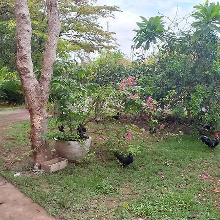 Chacara Pousada Sagui Cuiaba  Ngoại thất bức ảnh